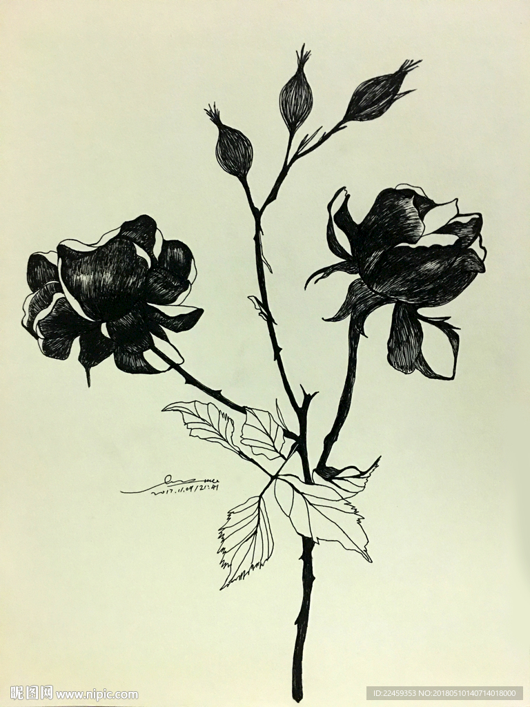 花绘插图