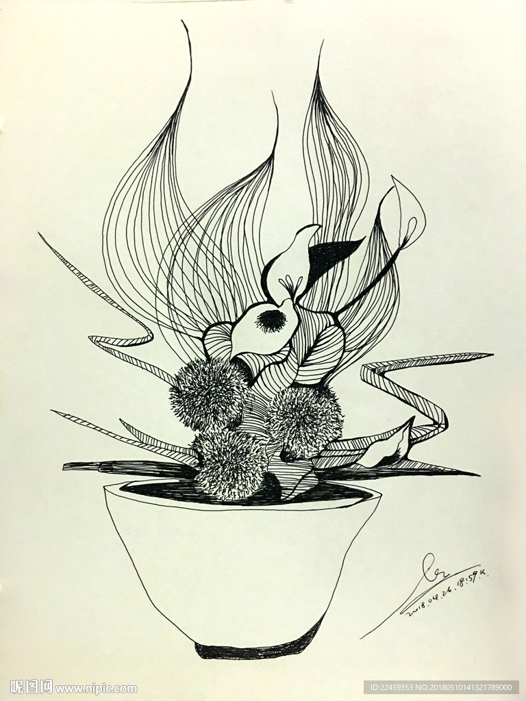 花绘插图