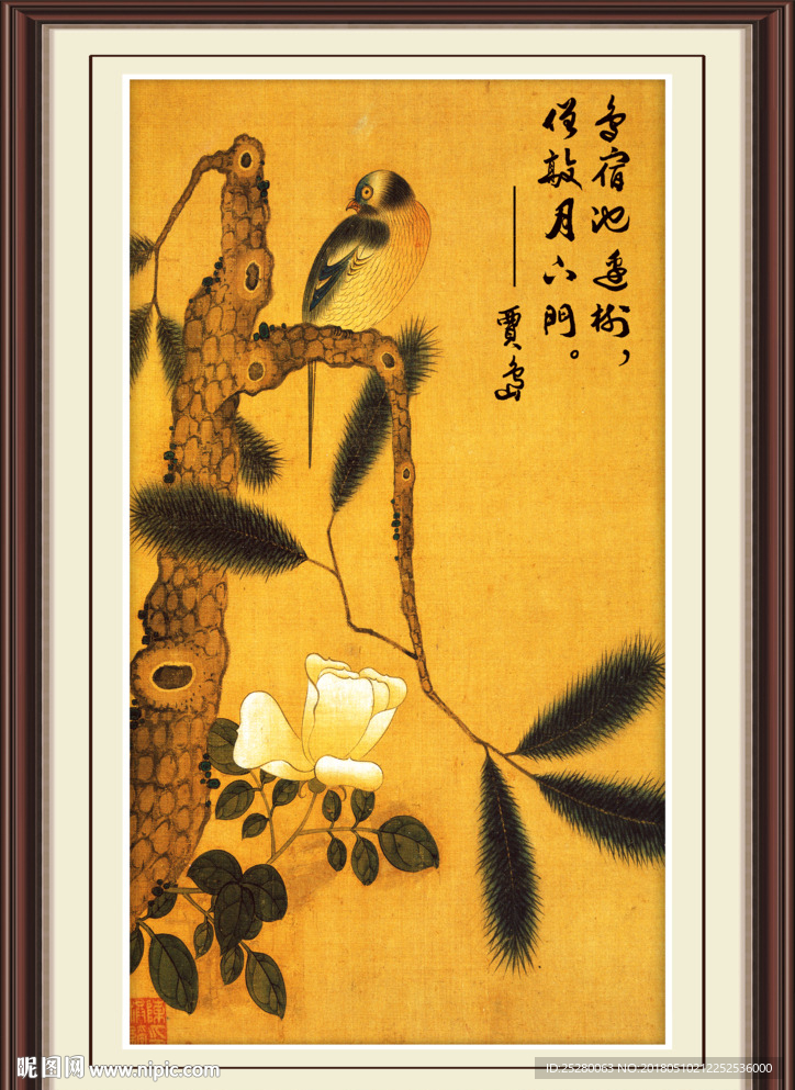 花鸟