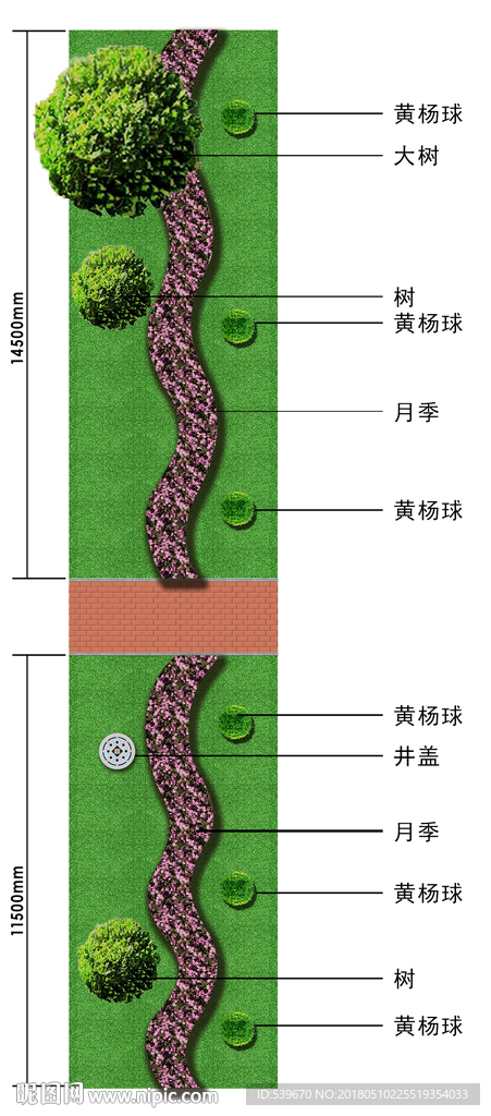 绿化规划图