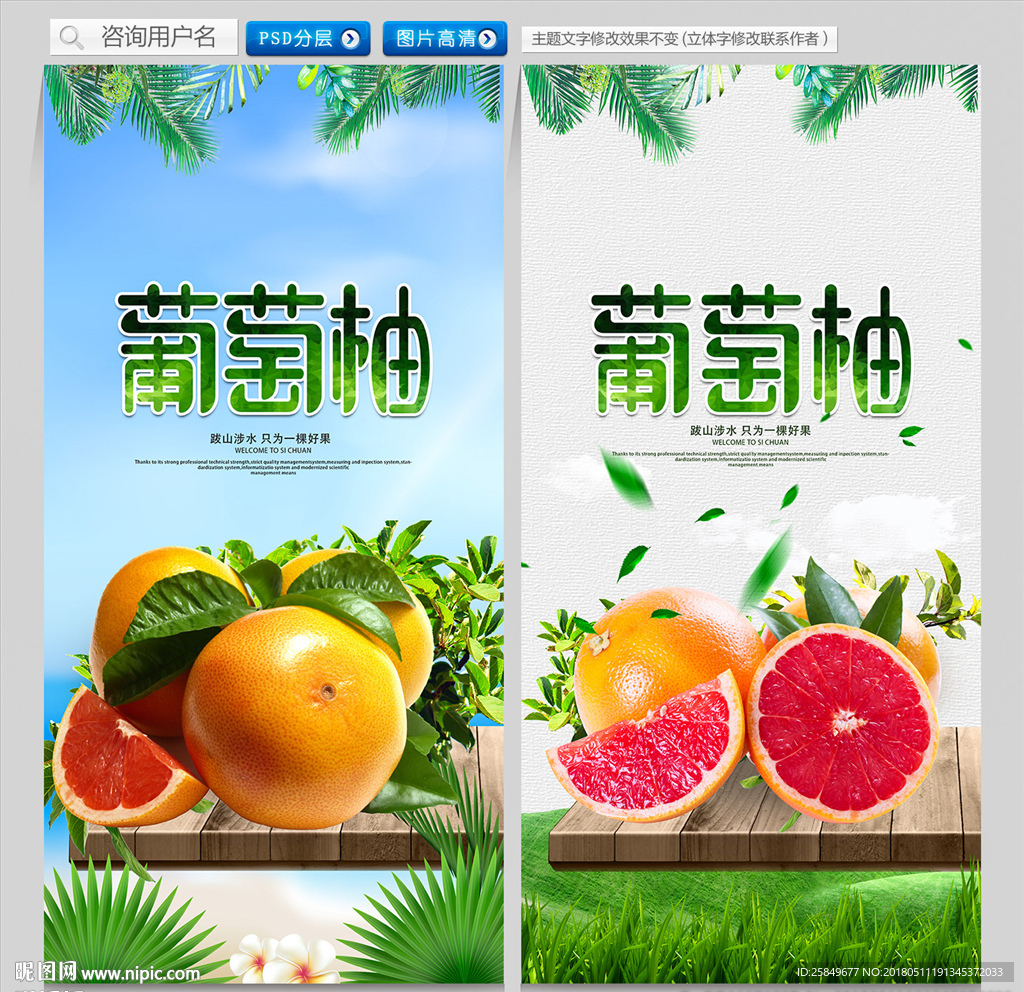 葡萄柚