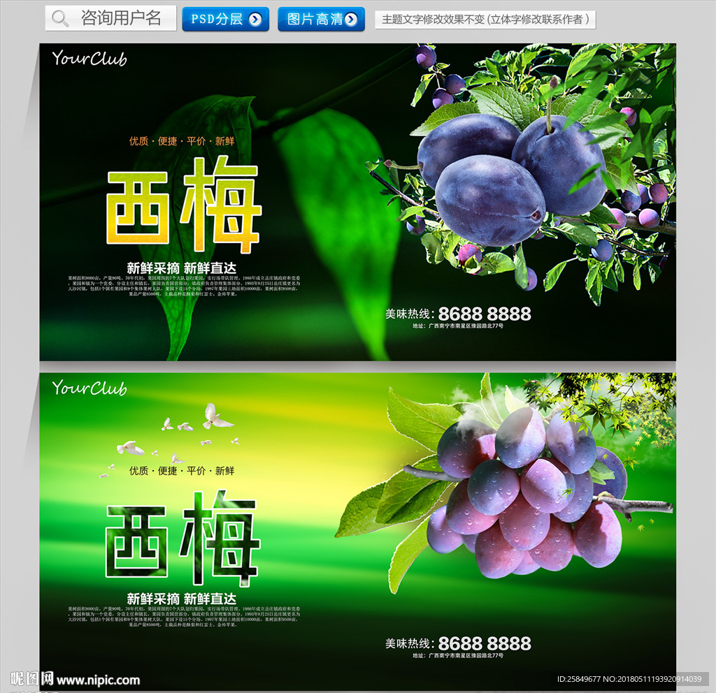 西梅