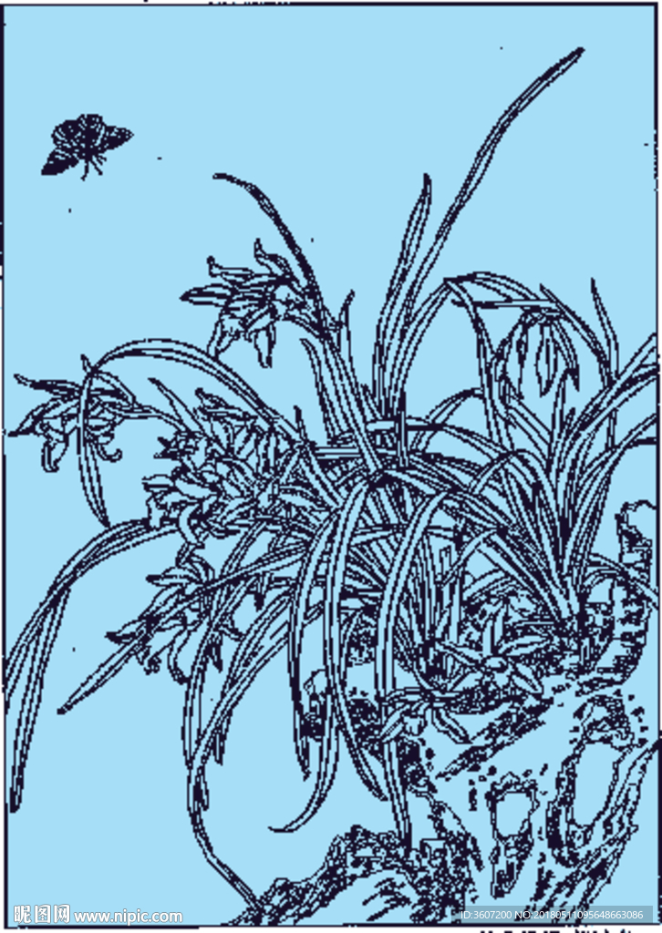 兰花蝴蝶线描 兰花蝴蝶白描 兰