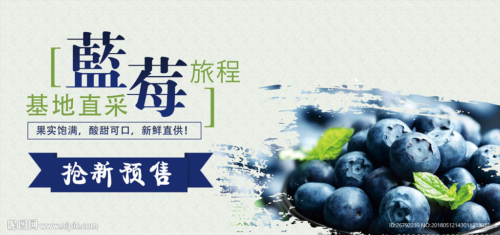 蓝莓采摘海报 蓝莓 蓝莓海报
