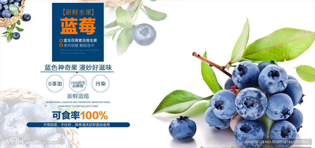 蓝莓采摘海报 蓝莓 蓝莓海报