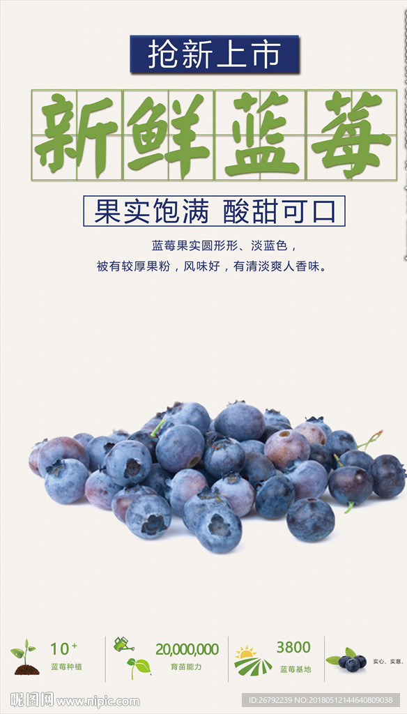 蓝莓采摘海报 蓝莓 蓝莓海报