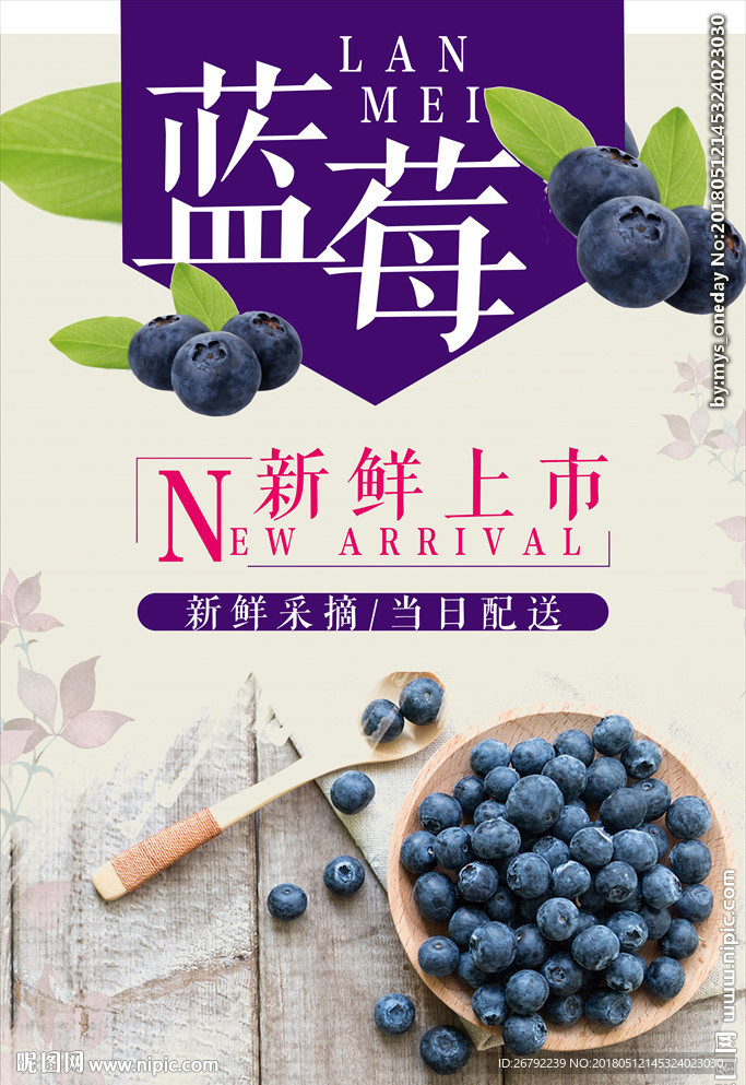 蓝莓采摘海报 蓝莓 蓝莓海报