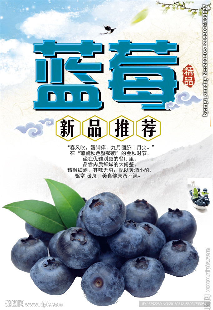 蓝莓采摘海报 蓝莓 蓝莓海报