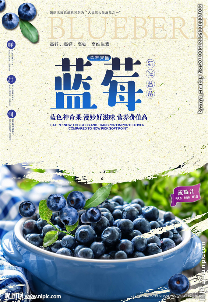 蓝莓采摘海报 蓝莓 蓝莓海报