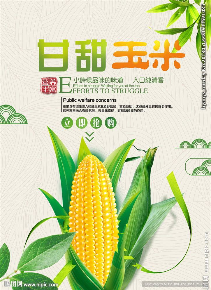 熟玉米 生玉米 玉米广告 玉米