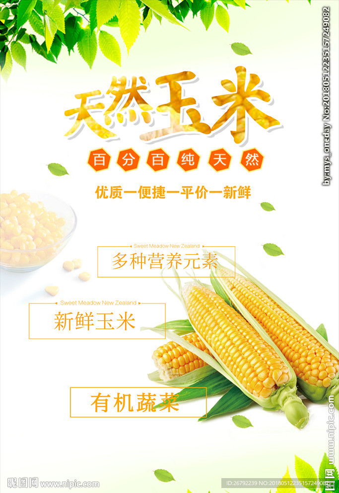 熟玉米 生玉米 玉米广告 玉米