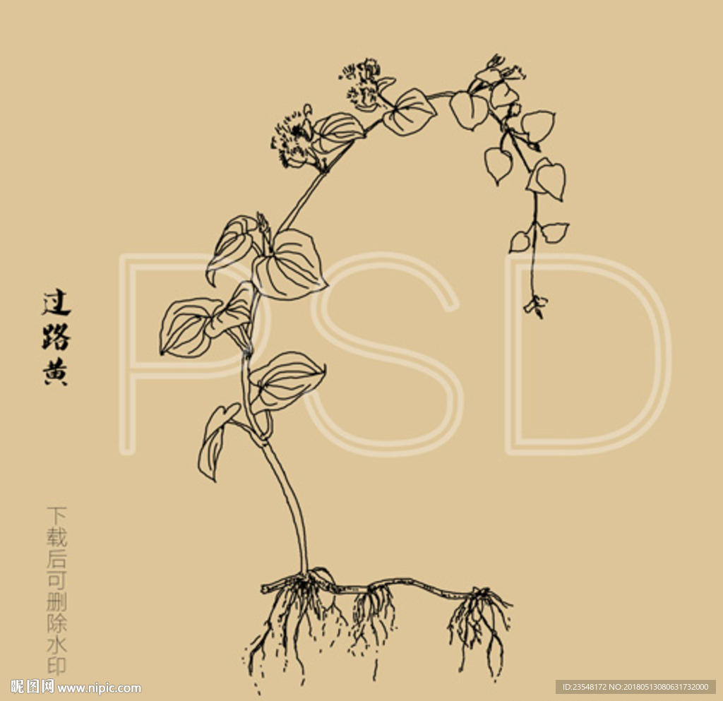 过路黄