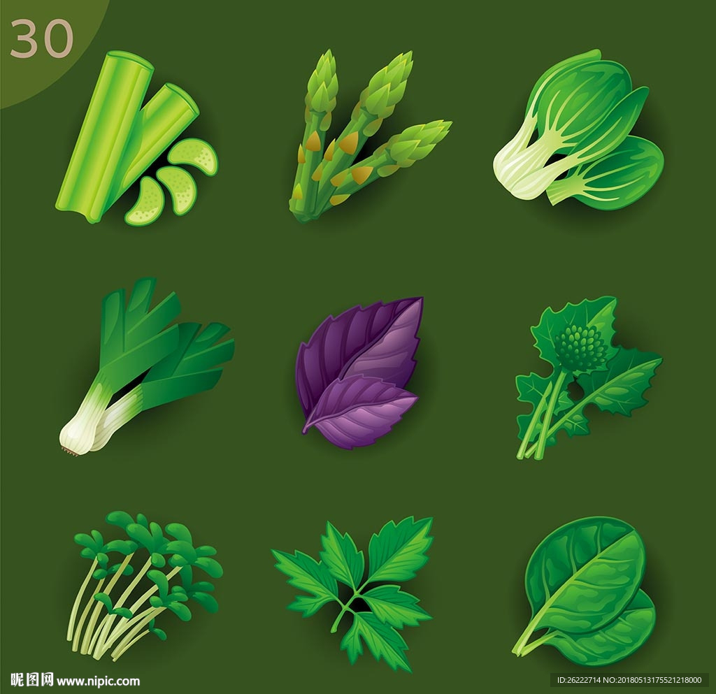 绿色蔬菜矢量素材