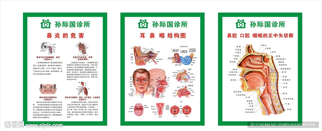 鼻炎海报