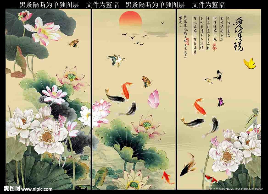 荷花 国画