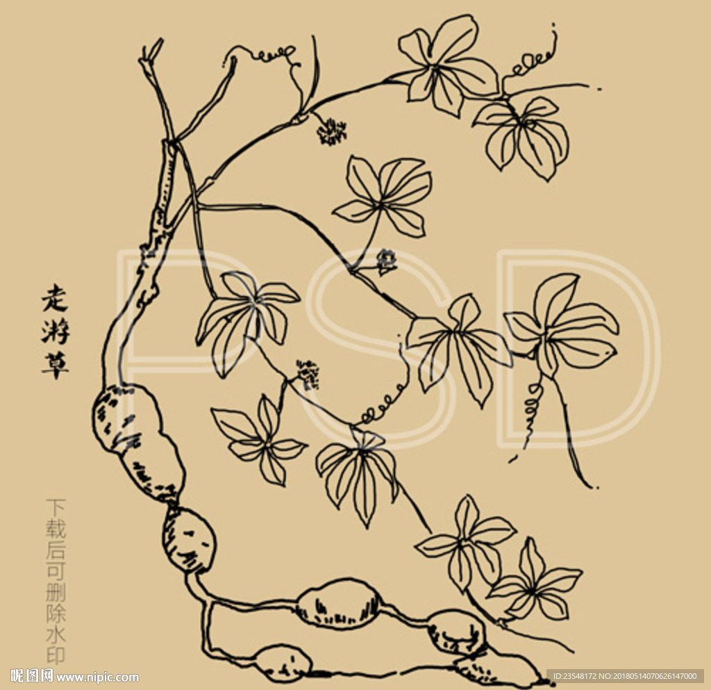 走游草