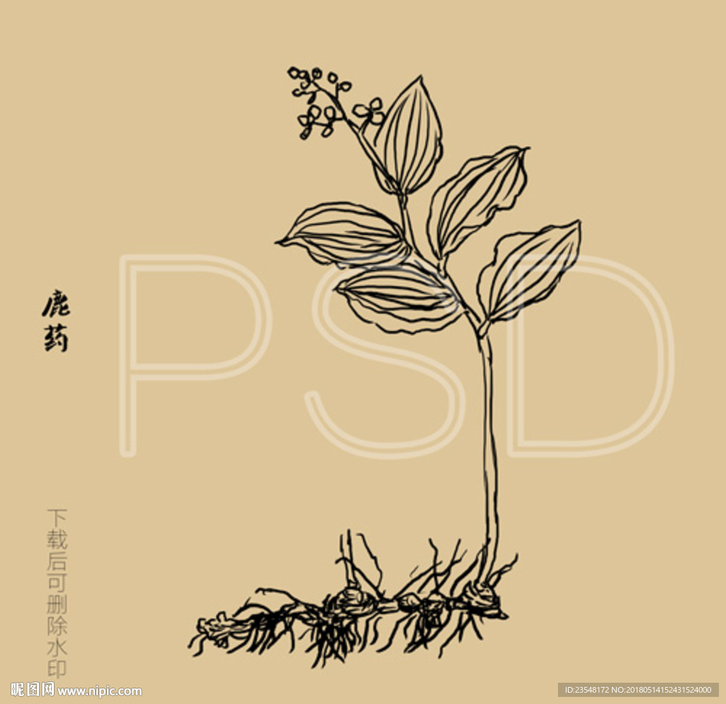 鹿药