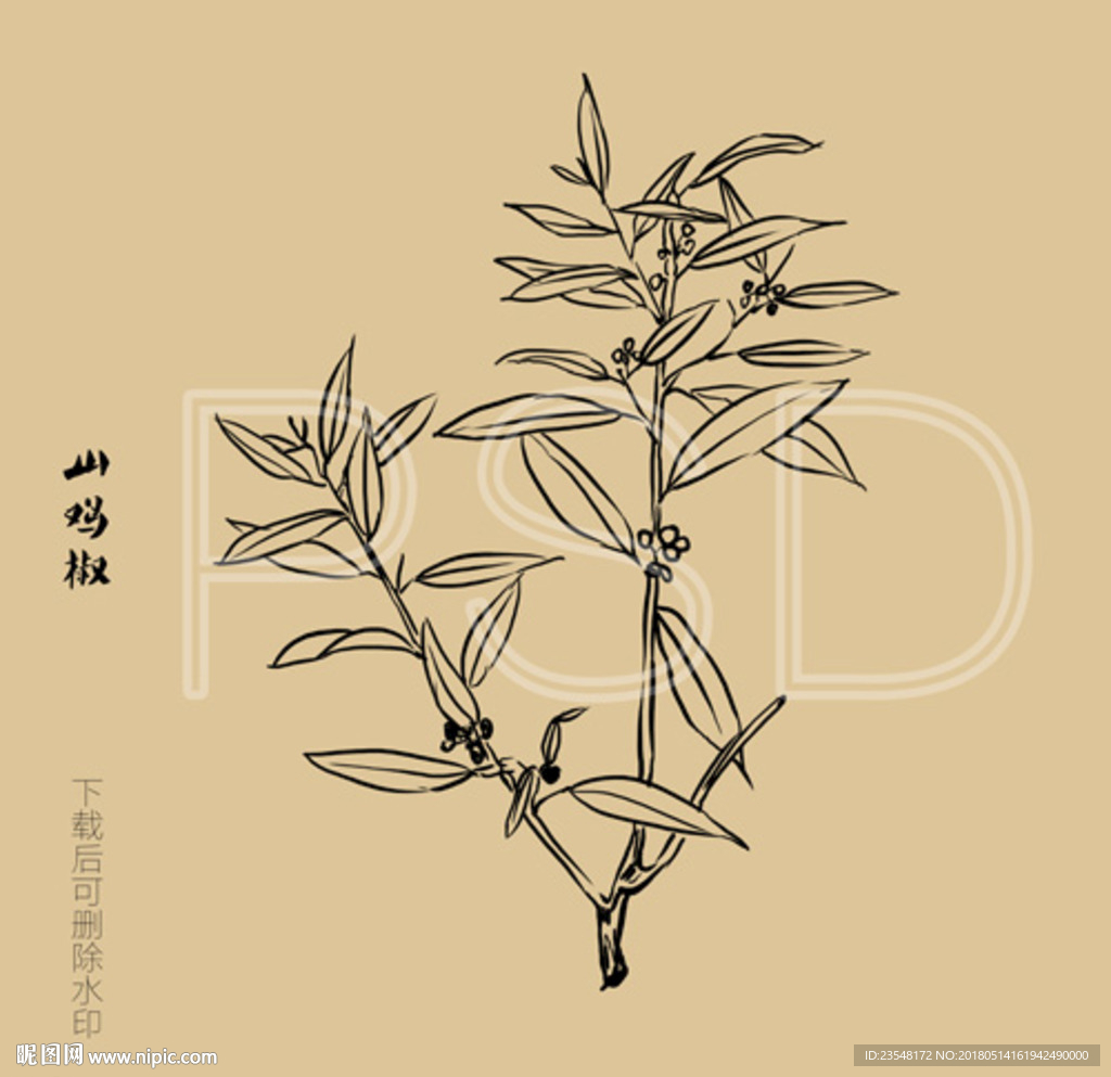 山鸡椒