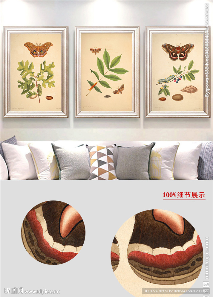 欧式古典怀旧植物蝴蝶无框画