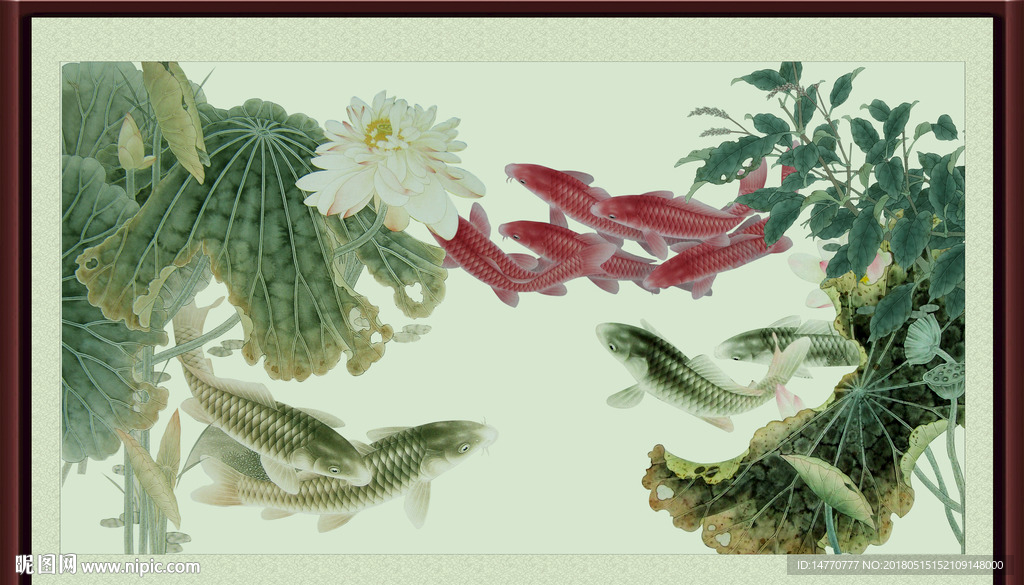 荷花鲤鱼图