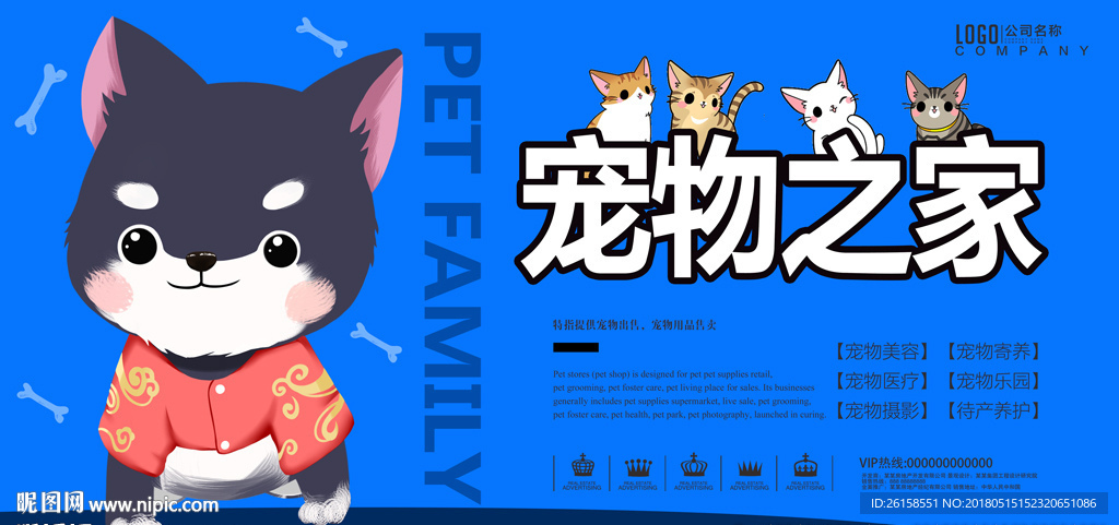 宠物