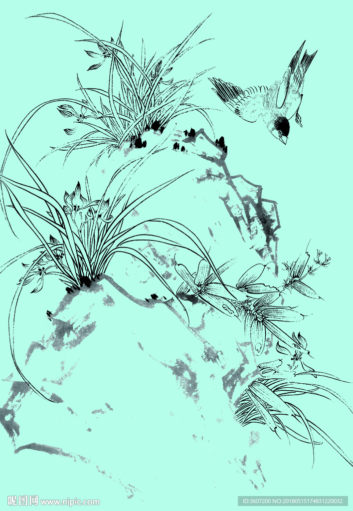 兰花线描 兰花白描 兰花素描