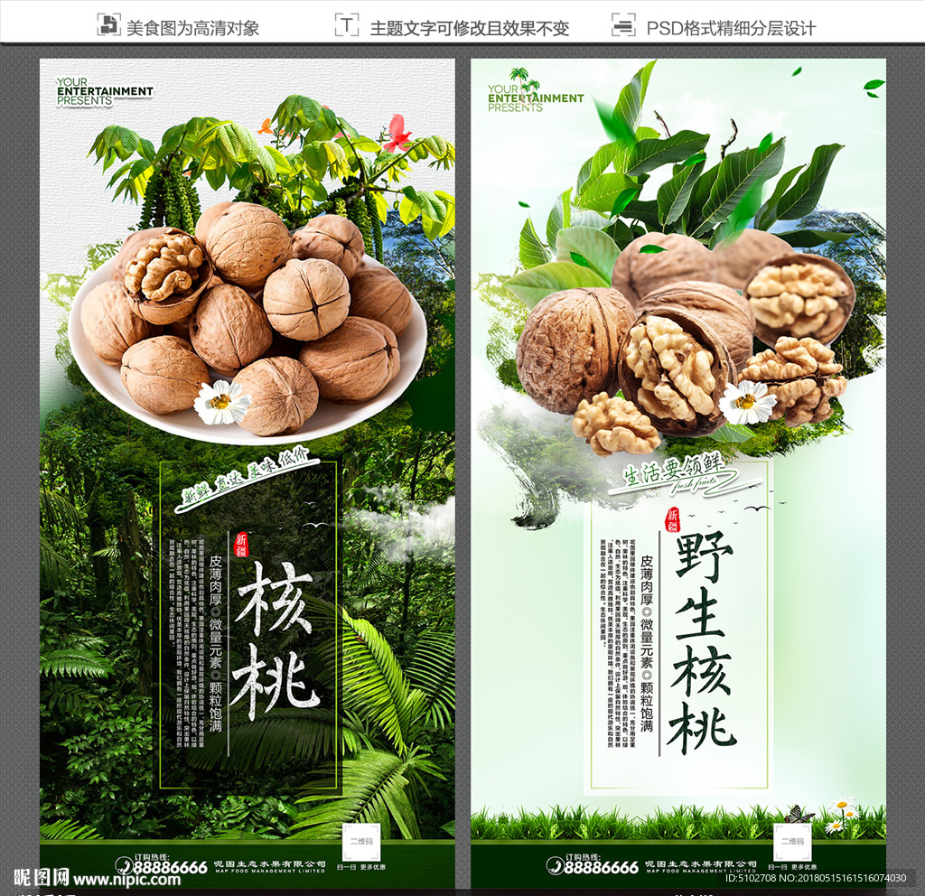 野生核桃