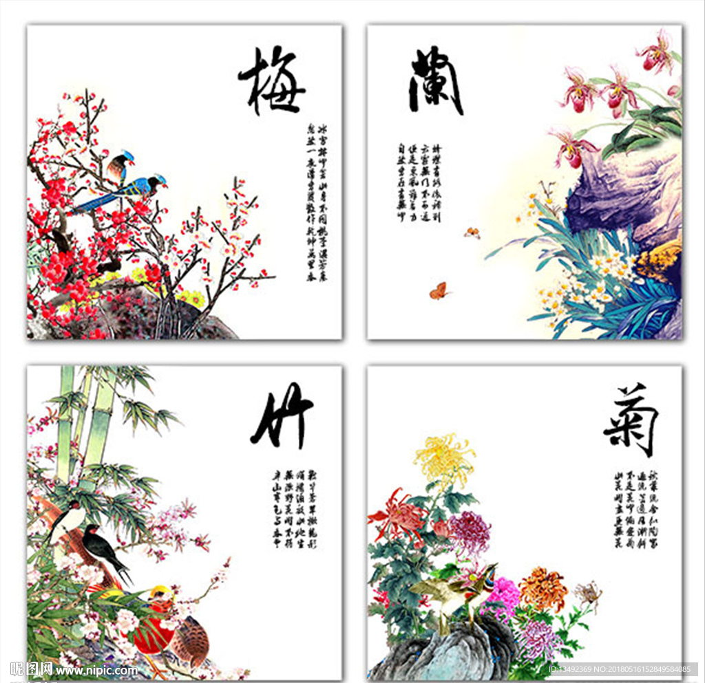 梅花国画