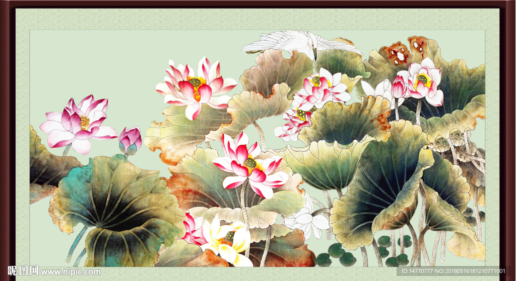 荷花图