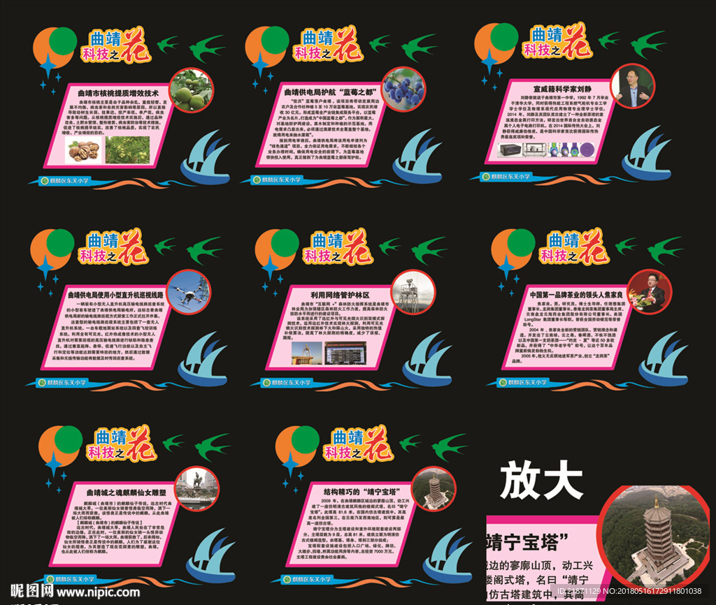 曲靖科技之花