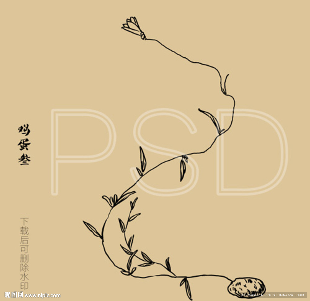 鸡蛋参
