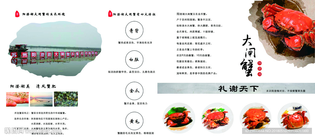 大闸蟹折页