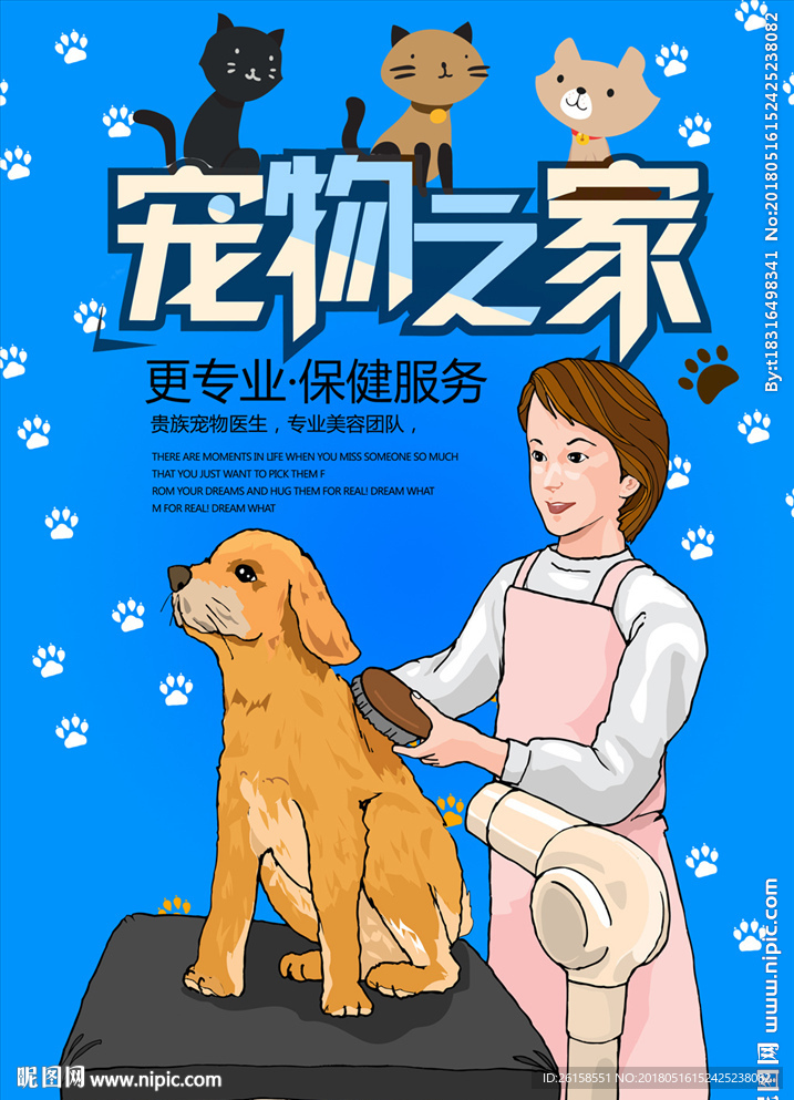 宠物
