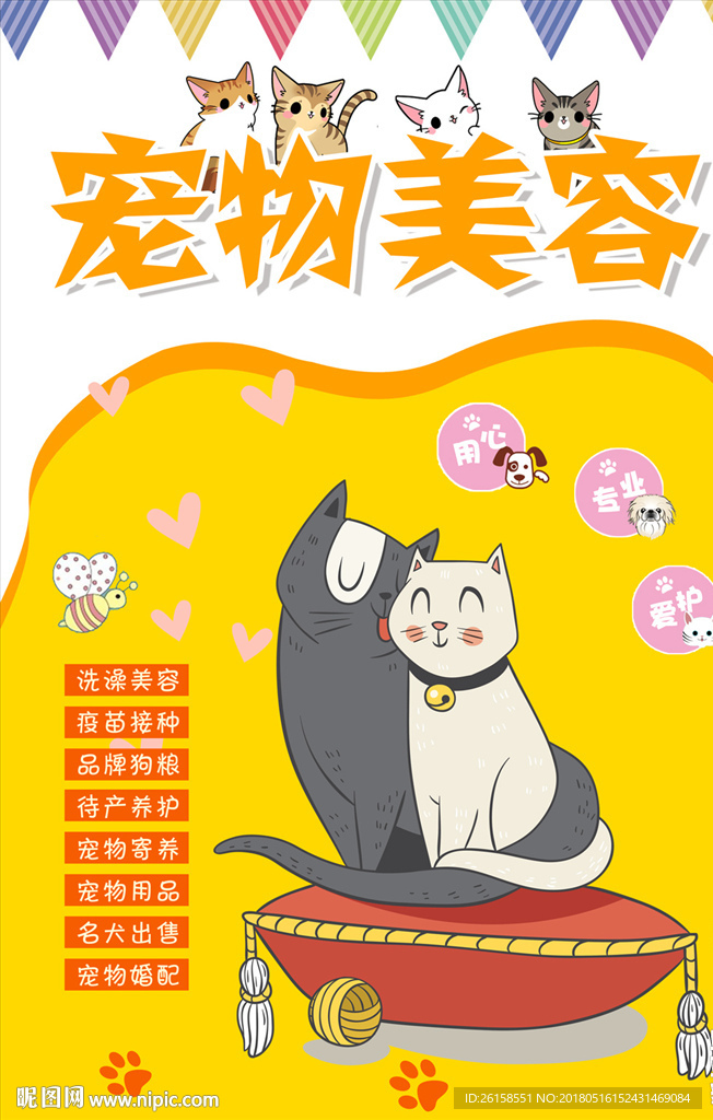 宠物
