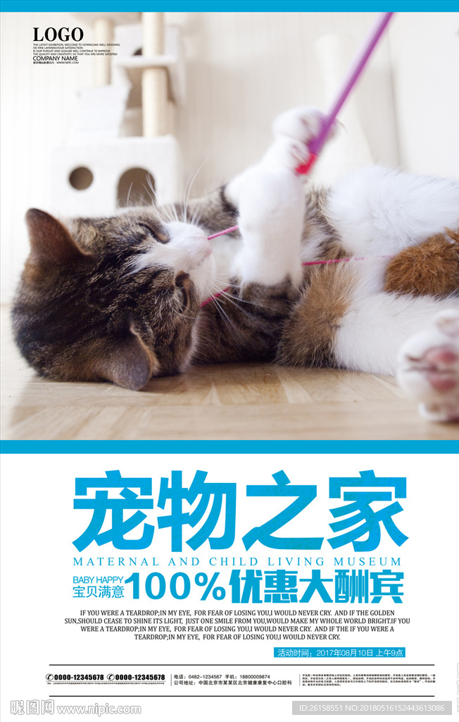 宠物