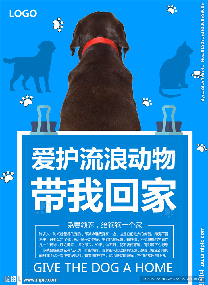 流浪动物