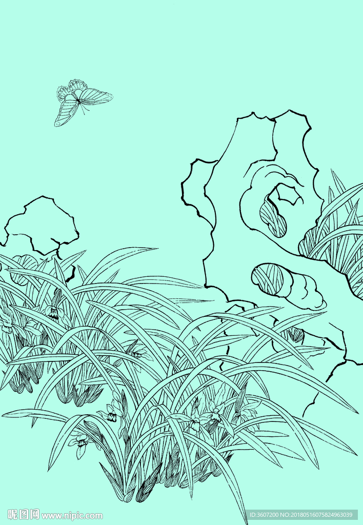 兰花线描 兰花白描 兰花素描