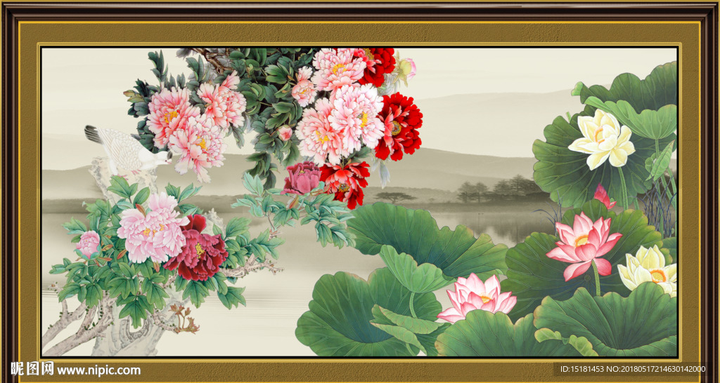 国画荷花
