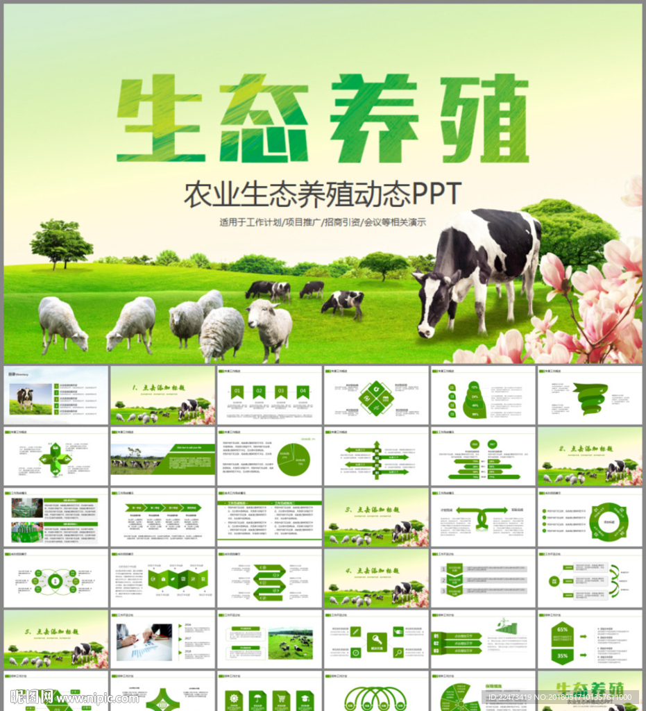 农业生态养殖ppt