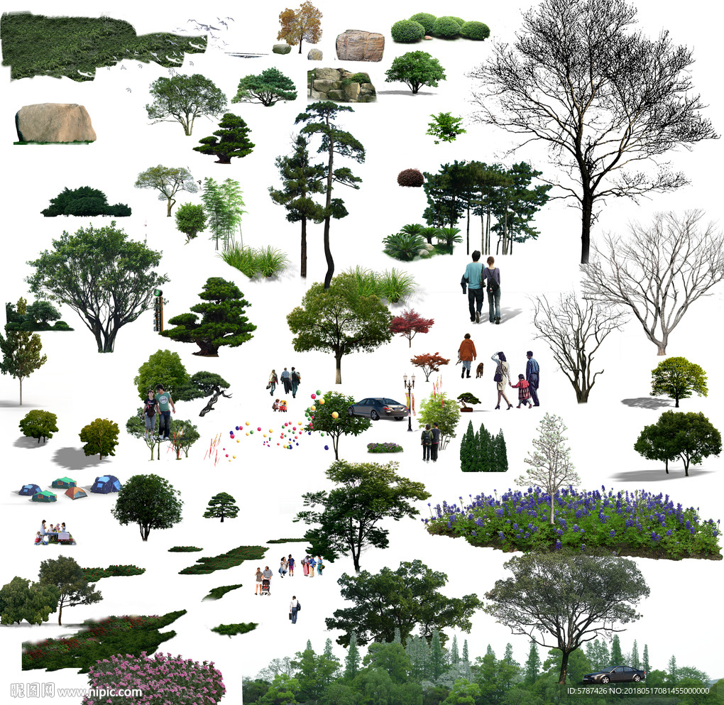 园林风景树植物图集