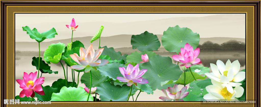 荷花图