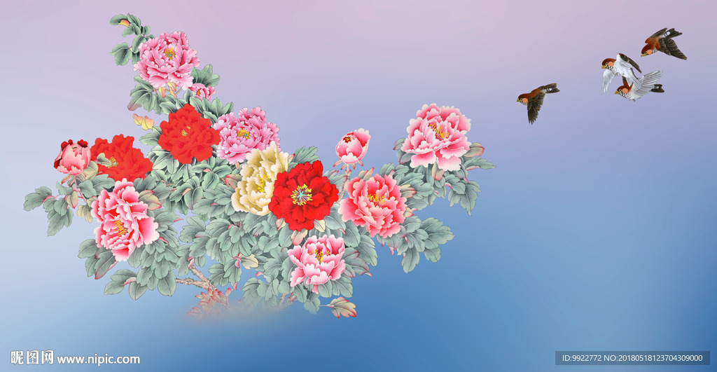 牡丹花