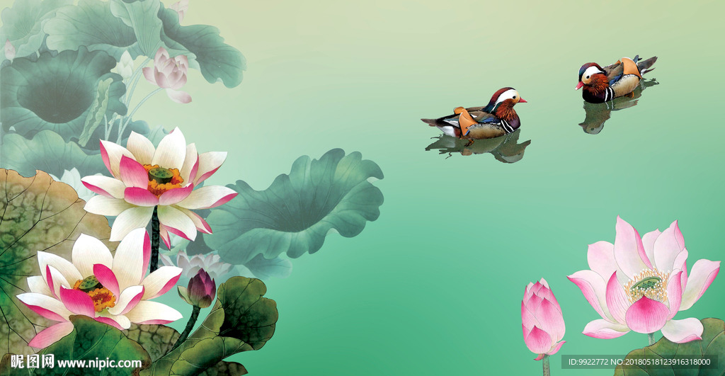 国画荷花