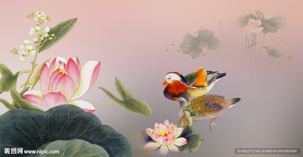 荷花图