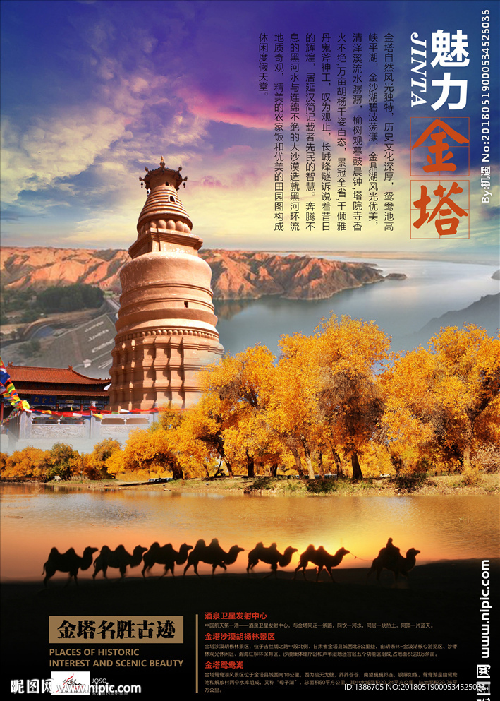 魅力金塔海报