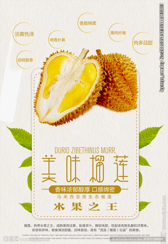 榴莲 榴莲海报 榴莲展架 泰国