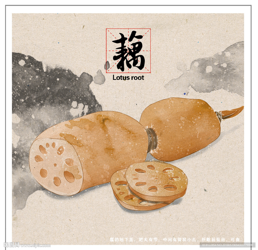 藕手绘设计素材