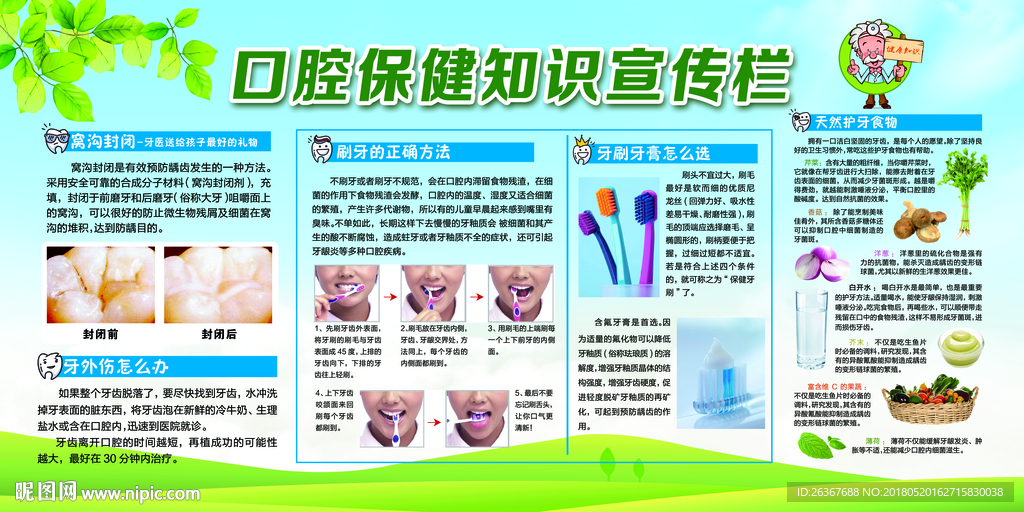 口腔保健知识