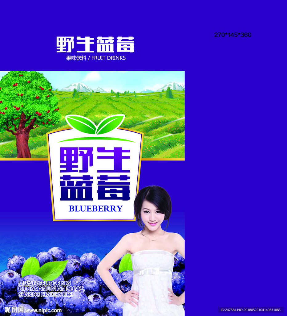 野生蓝莓汁箱