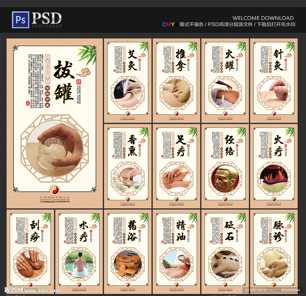 养生